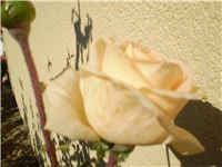 da5a0f03-Picture 669.jpg